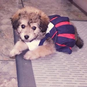 Meet your Posher, Kenia